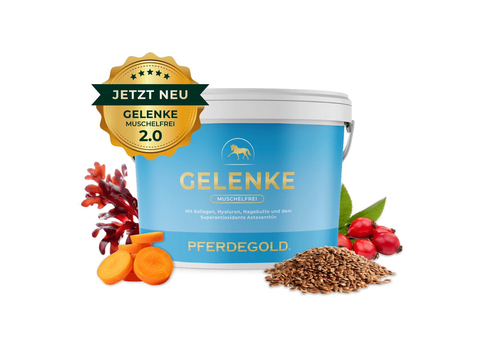 Gelenke Muschelfrei 2.0