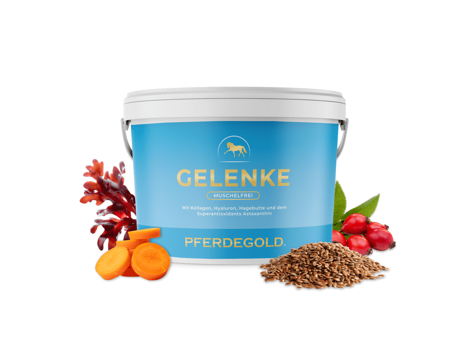 Gelenke Muschelfrei 2.0