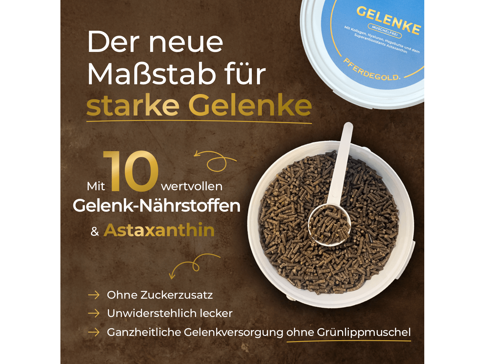 Gelenke Muschelfrei 2.0