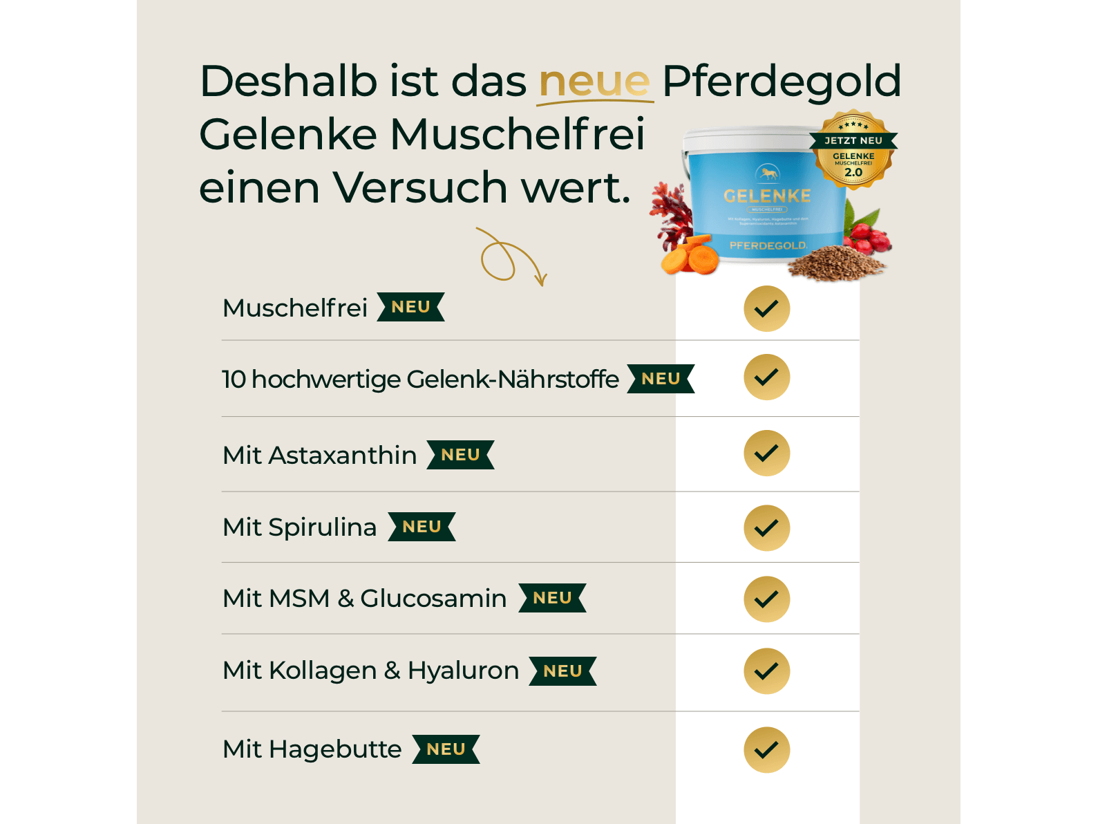 Gelenke Muschelfrei 2.0