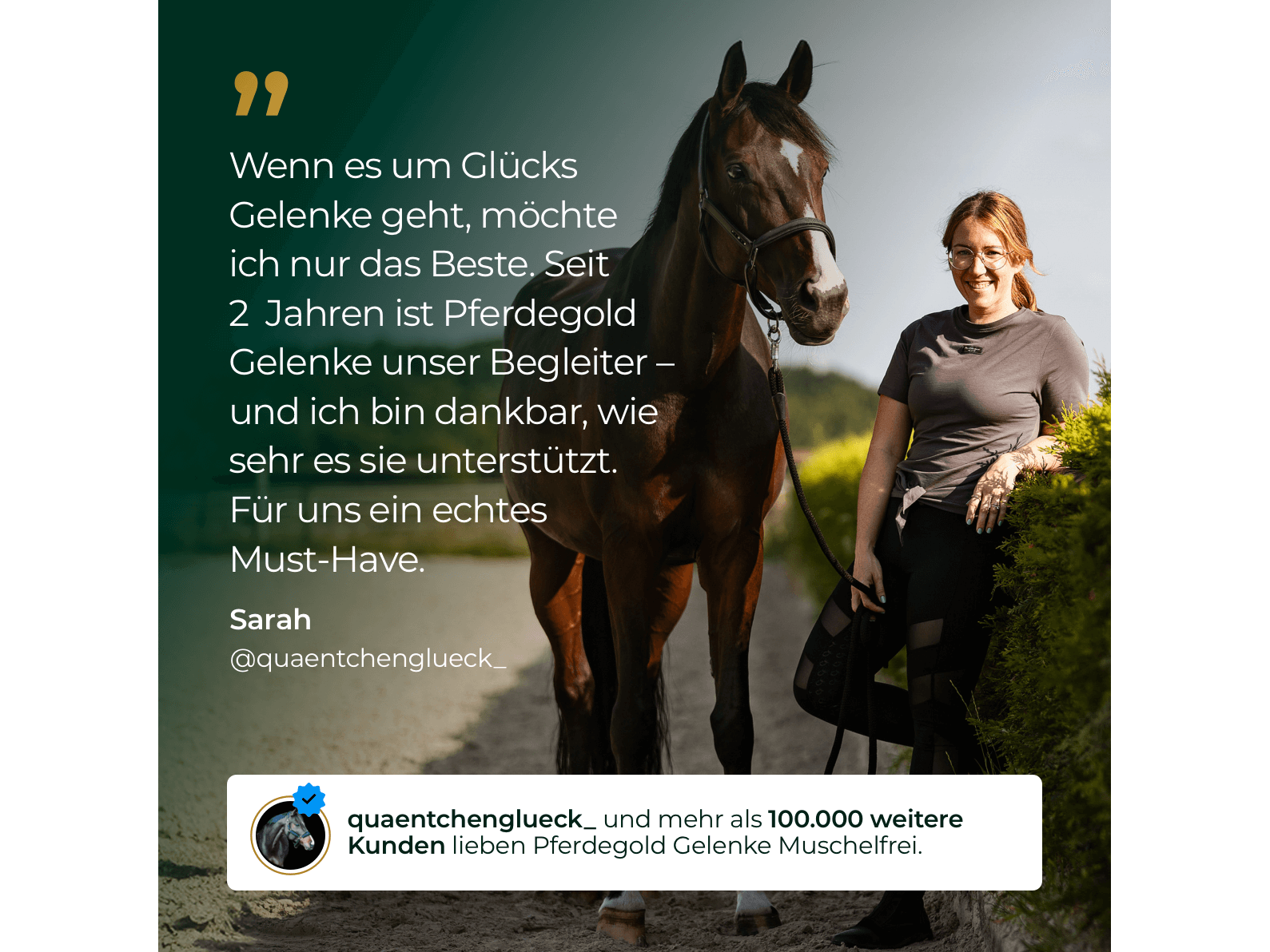 Gelenke Muschelfrei 2.0