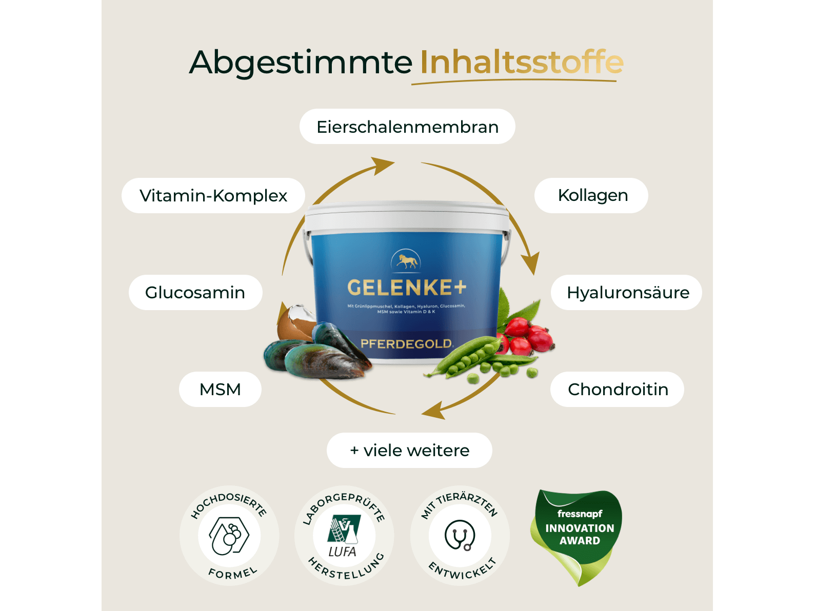 Gelenke+