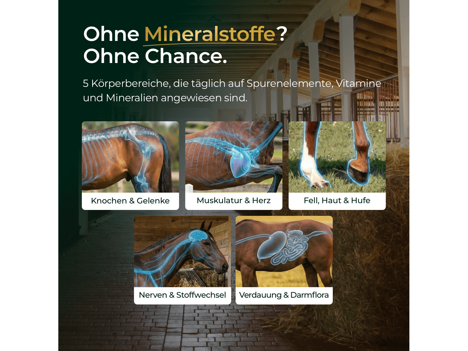 Mineral 2.0