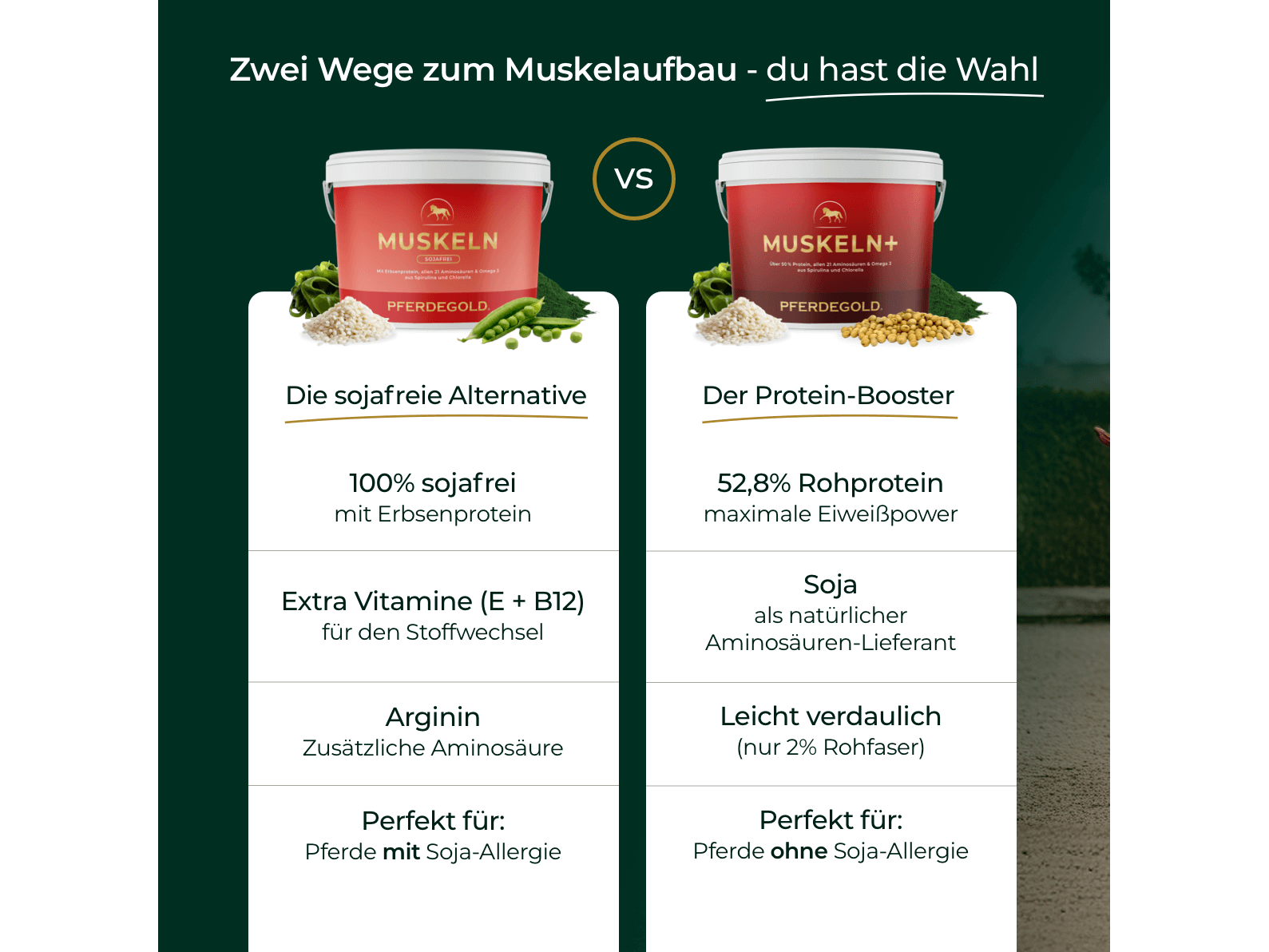 Muskeln 2.0 Sojafrei