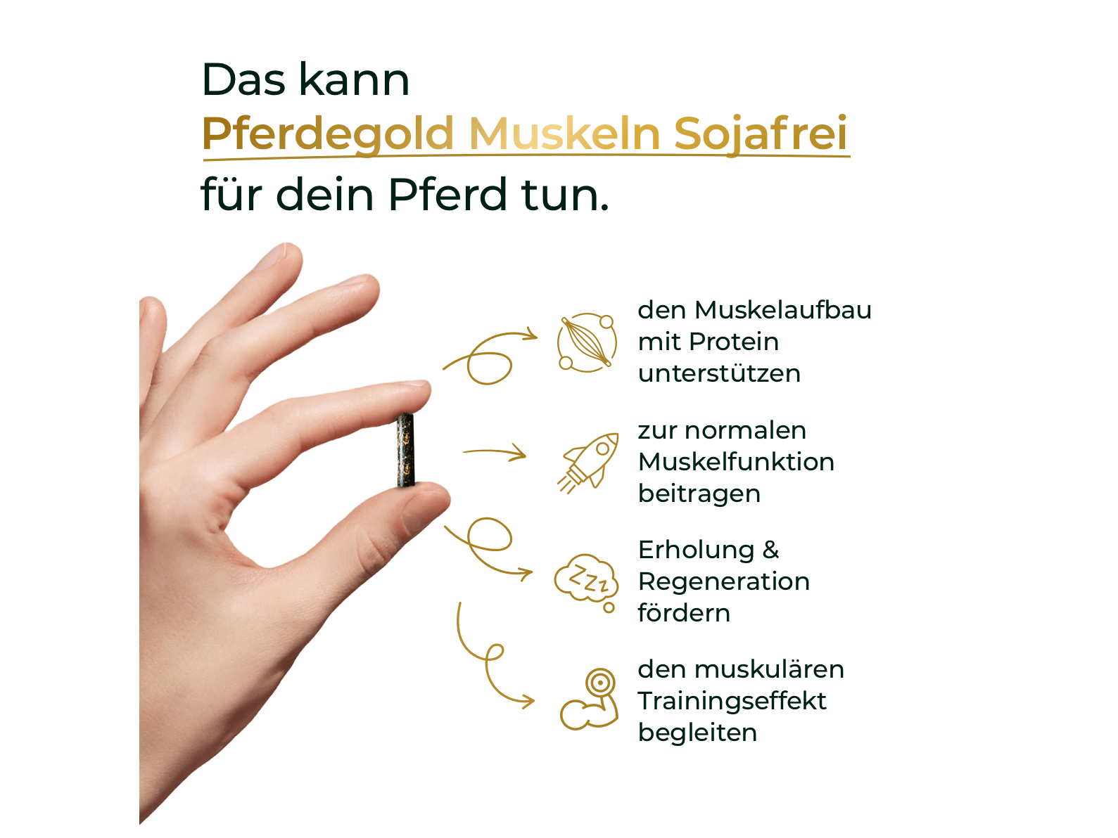 Muskeln 2.0 Sojafrei