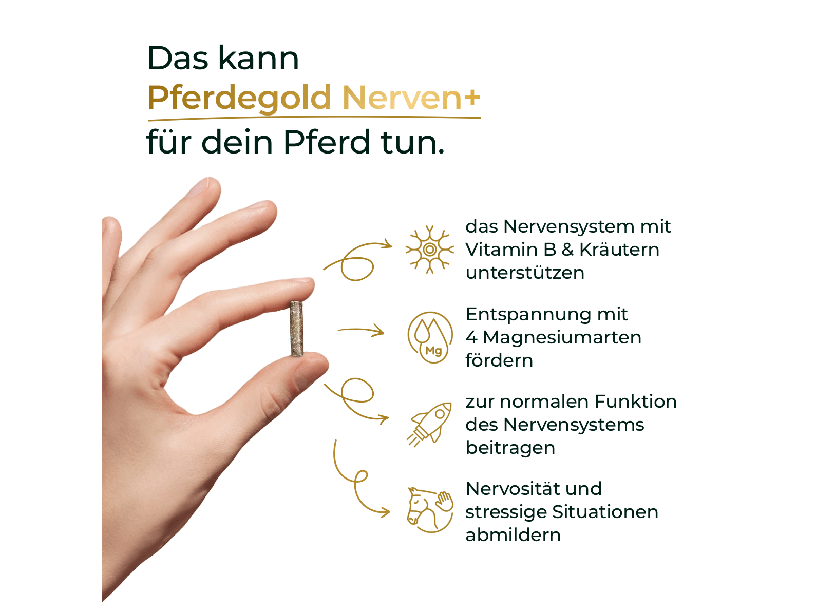 Nerven+ mit Tryptophan