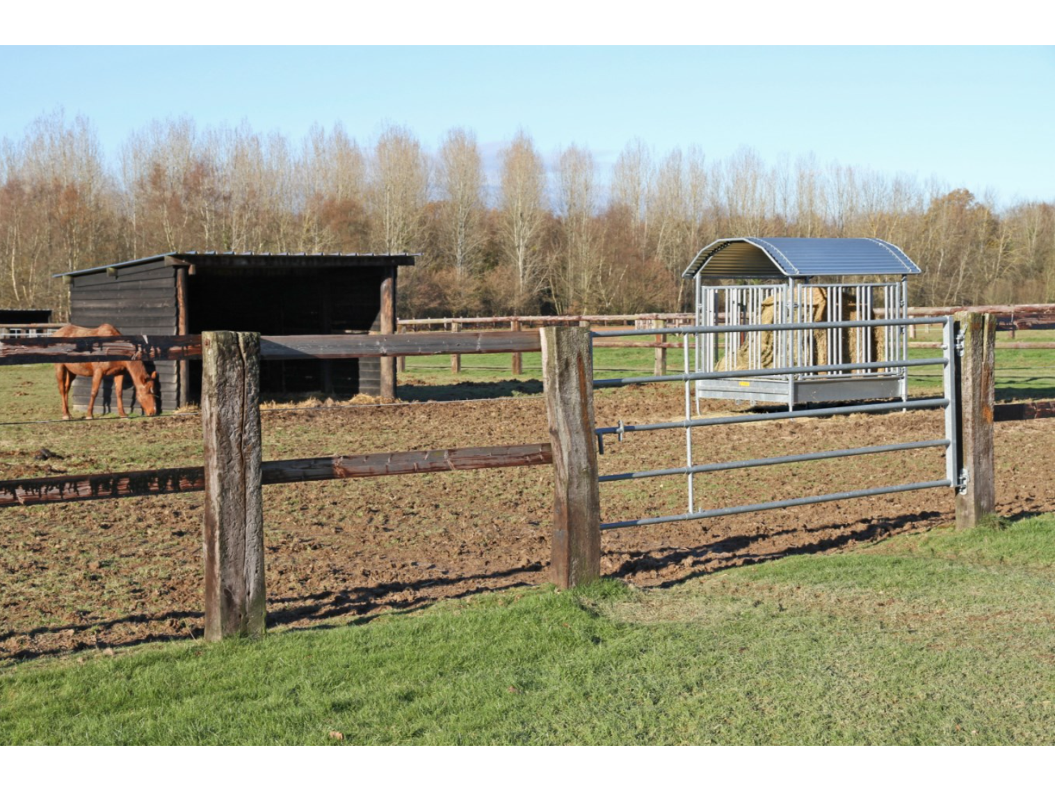 KERBL horse square rack with safety feeding fence