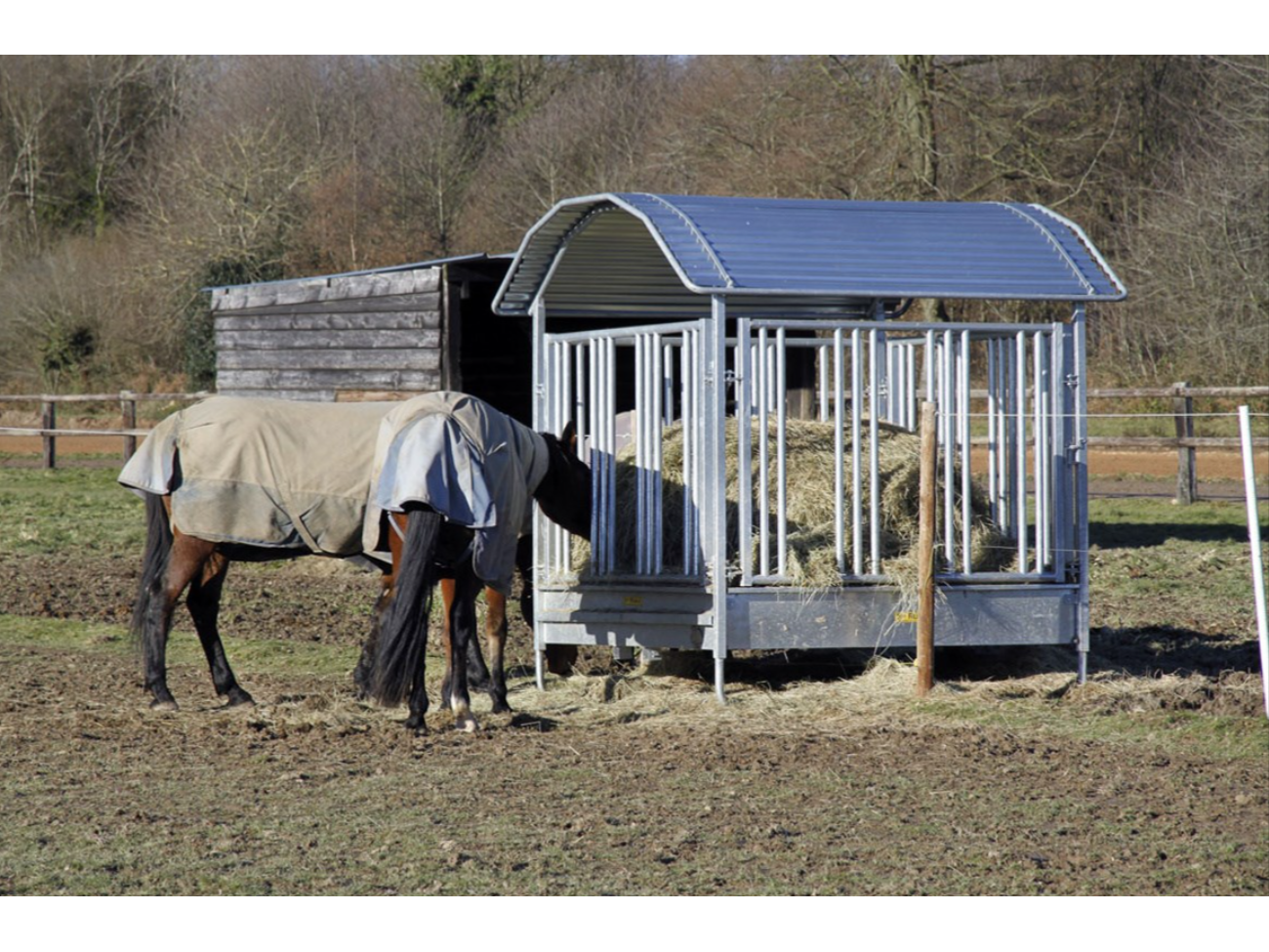 KERBL horse square rack with safety feeding fence