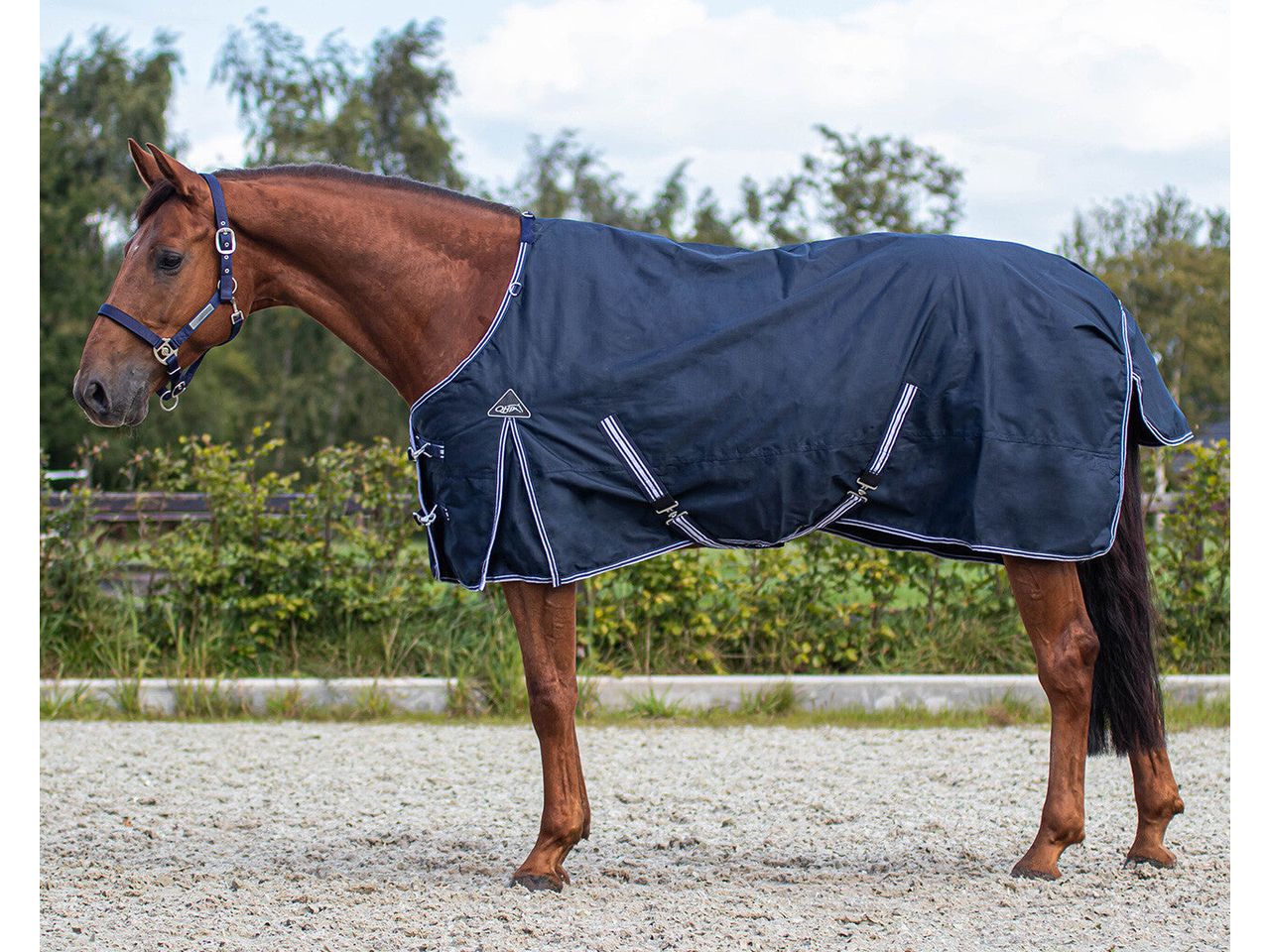 QHP Regendecke Turnout Luxus 0gr