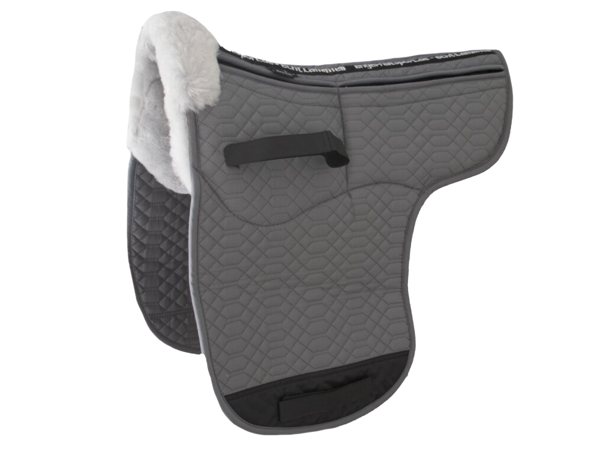 Engel - Sadek1A correction padding saddle blanket