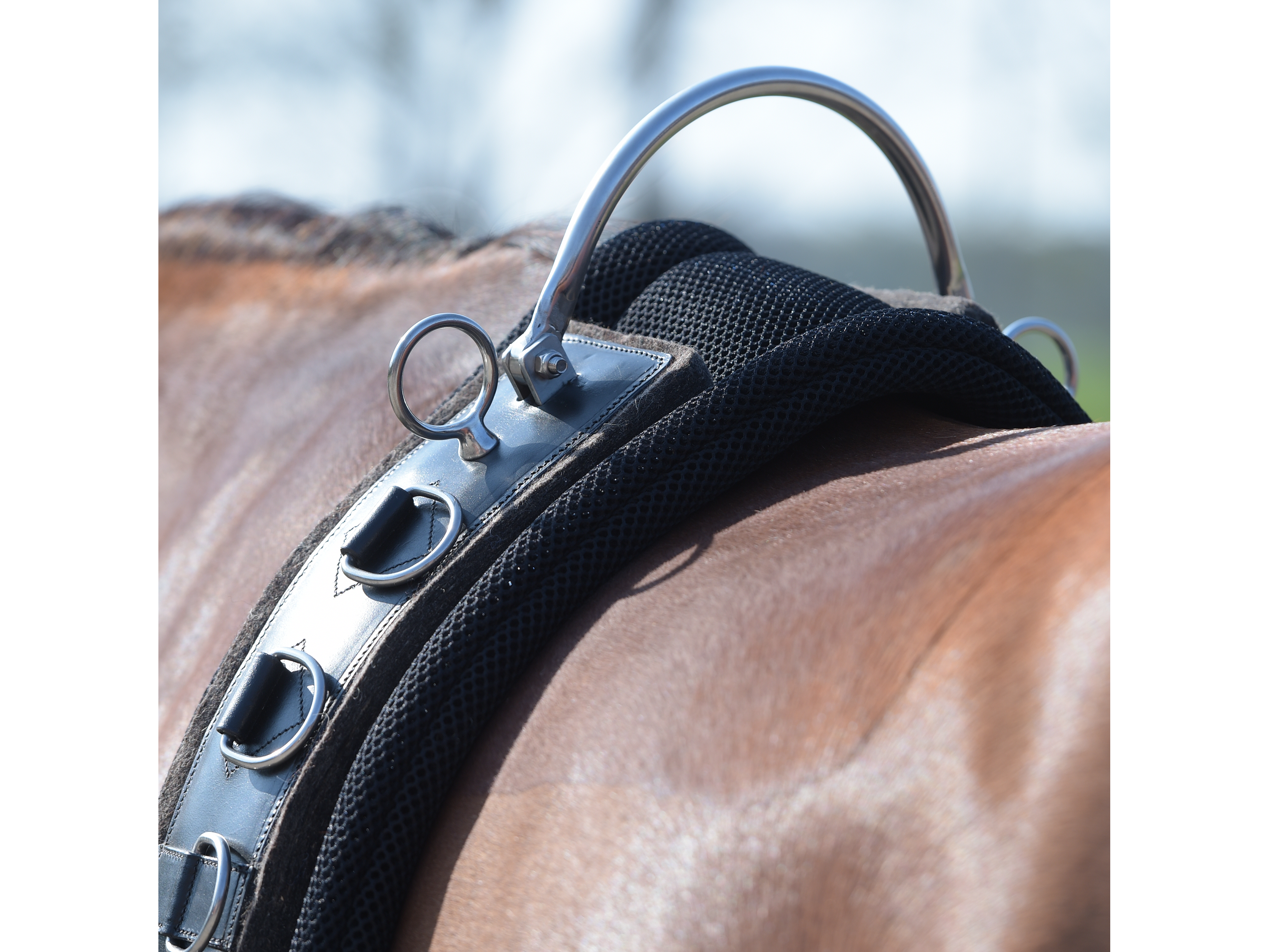 BUSSE Longiergurt FLEX FIT