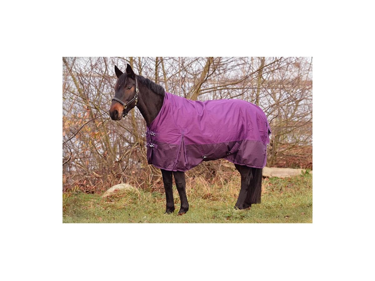 Icelandic Horse Turnout Collection Regendecke Rain