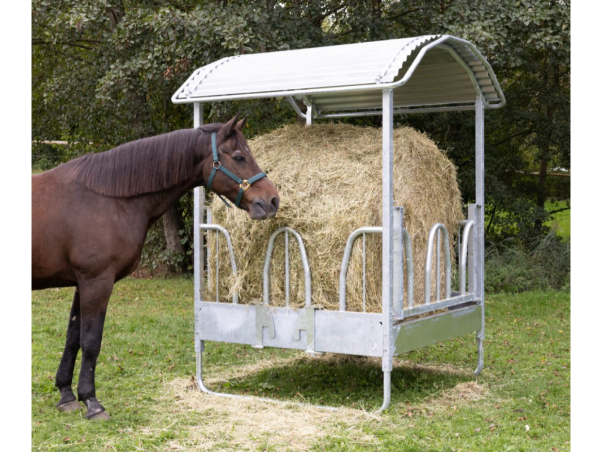 Icelandic Horse Viereckraufe Hobby