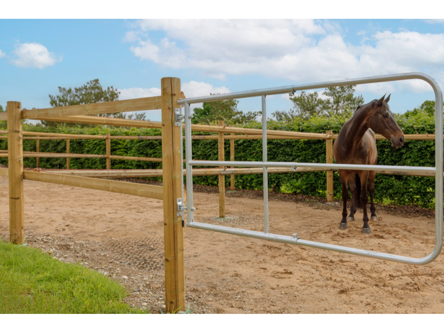 Icelandic Horse Weidetor verstellbar für Pferdehalter