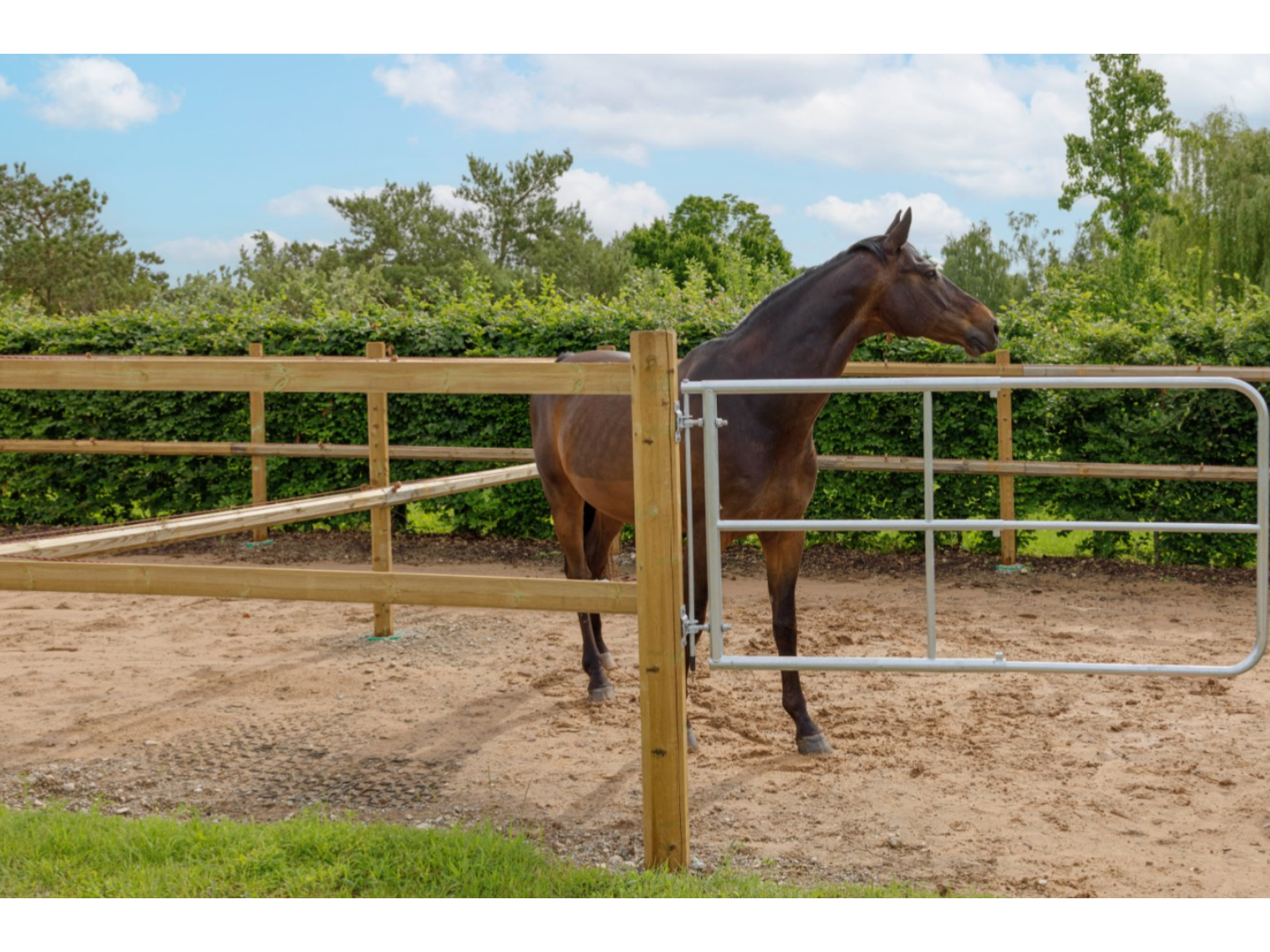 Icelandic Horse Weidetor verstellbar für Pferdehalter
