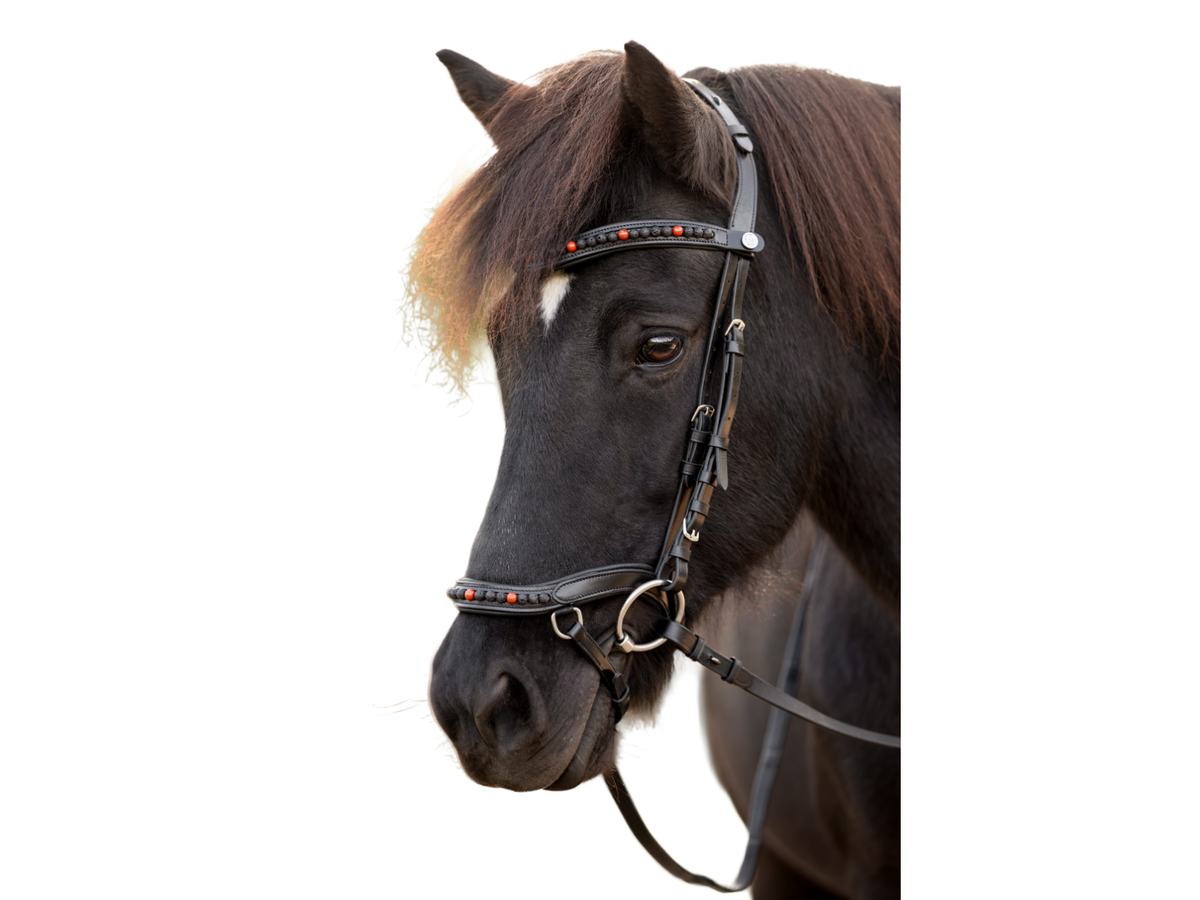 Epona anatomische Trense Lava feuerrot am Islandpferd – Stirnriemen und Nasenriemen mit Lava- und roten Jaspis-Steinen