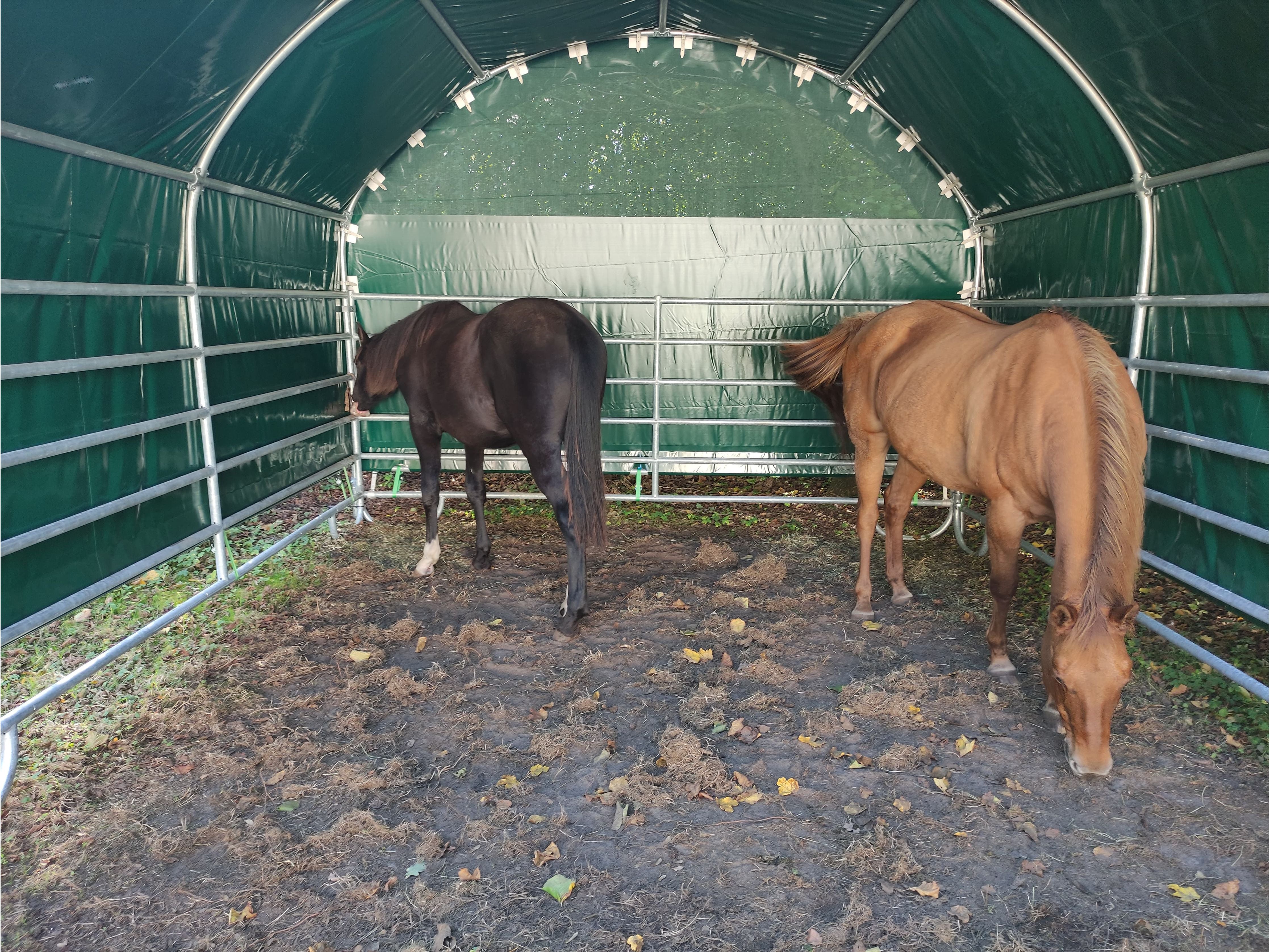 COVER ALL Giebelwand 4 m, 4 x 4 m, dachfolie lang, giebel lang, farbe grün