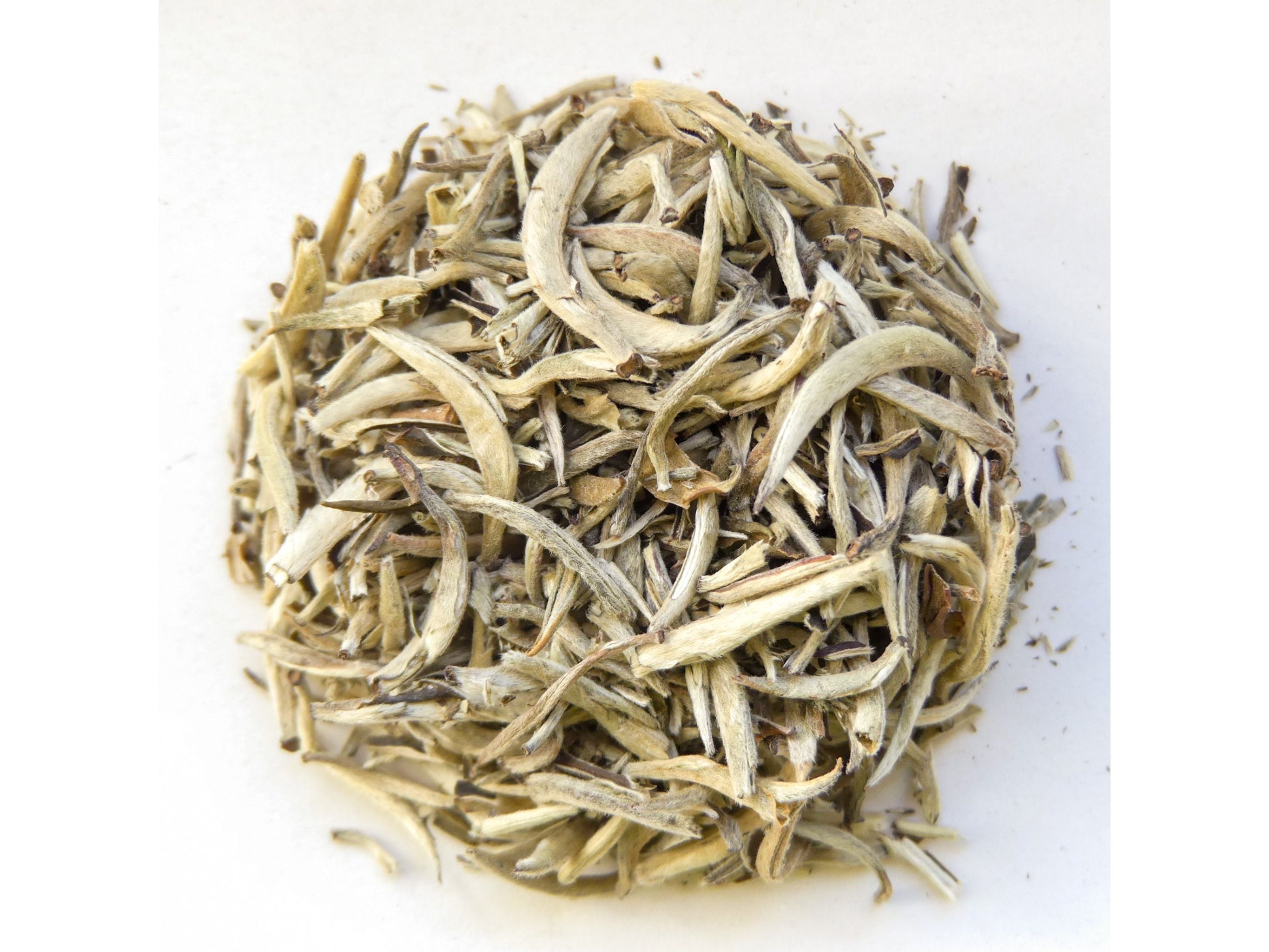 Silbernadel Tee - Weißer Tee