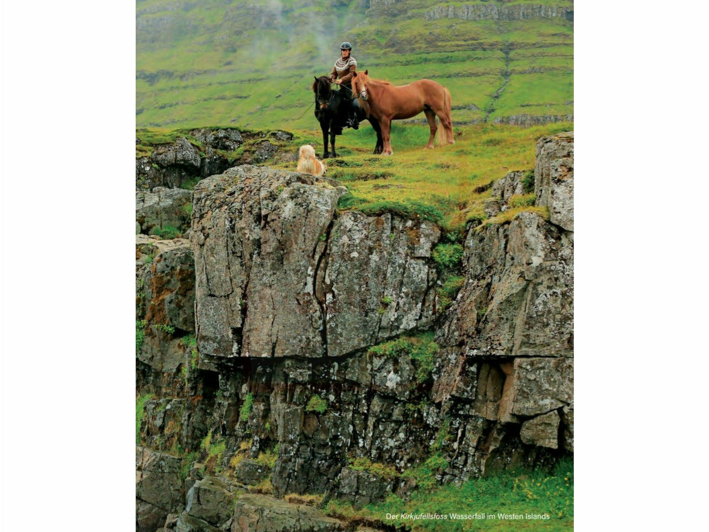 Magical Icelandic Horses - A declaration of love for horses, country and people