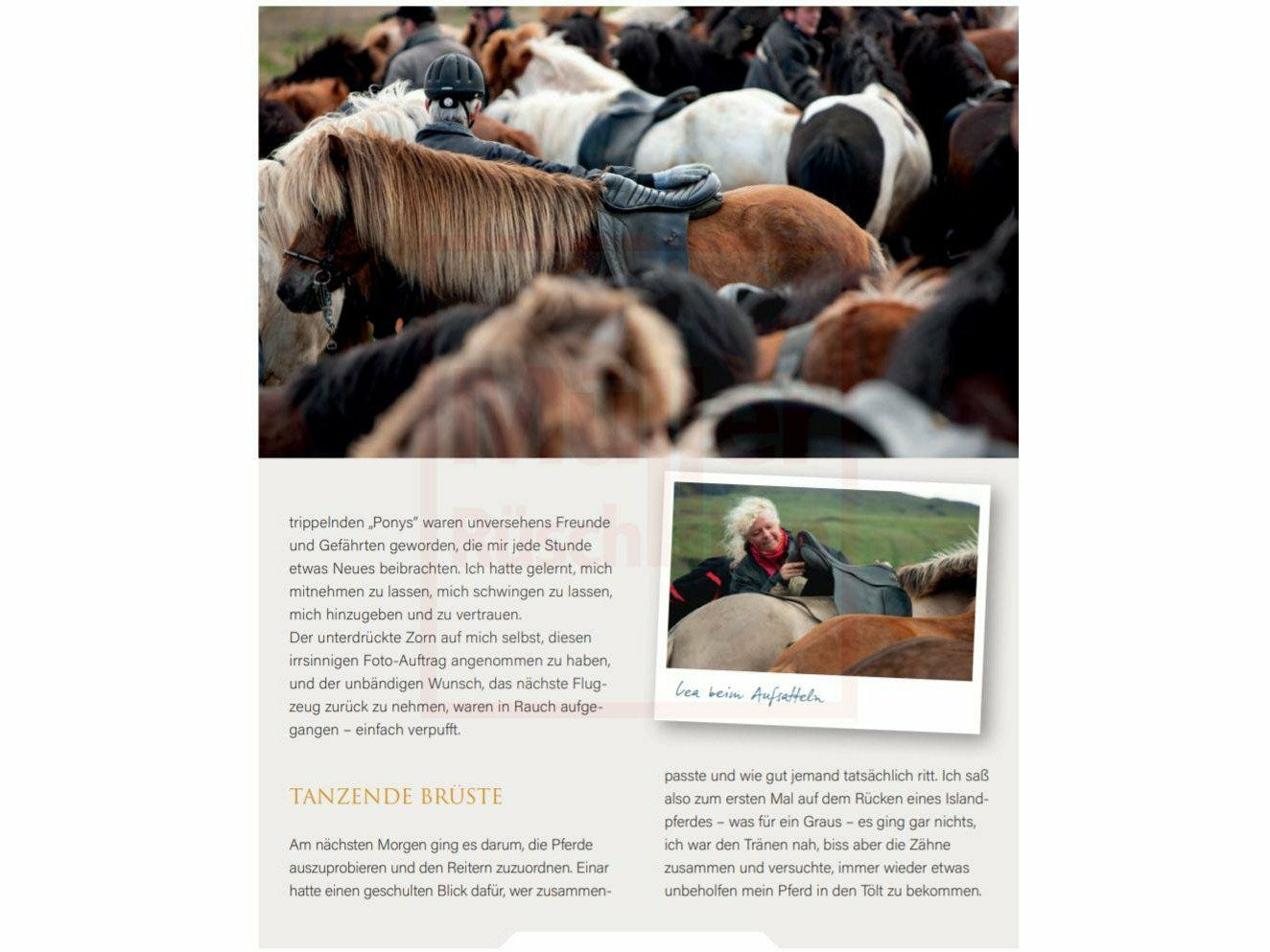 Magical Icelandic Horses - A declaration of love for horses, country and people