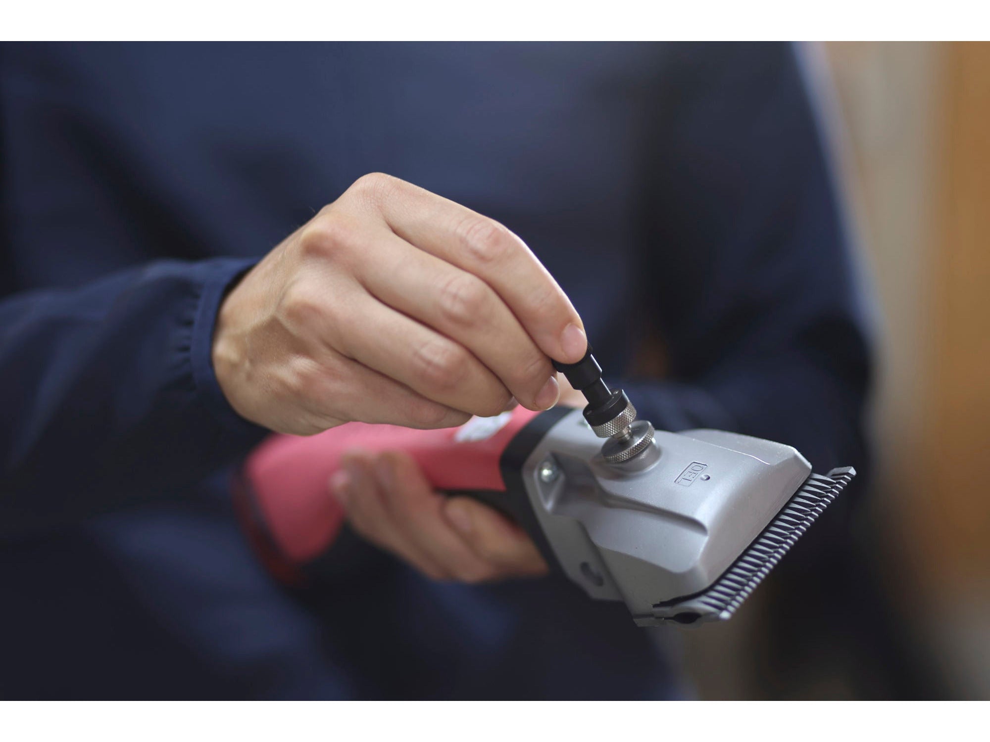 Aesculap Akkuschermaschine Bonum für Pferde