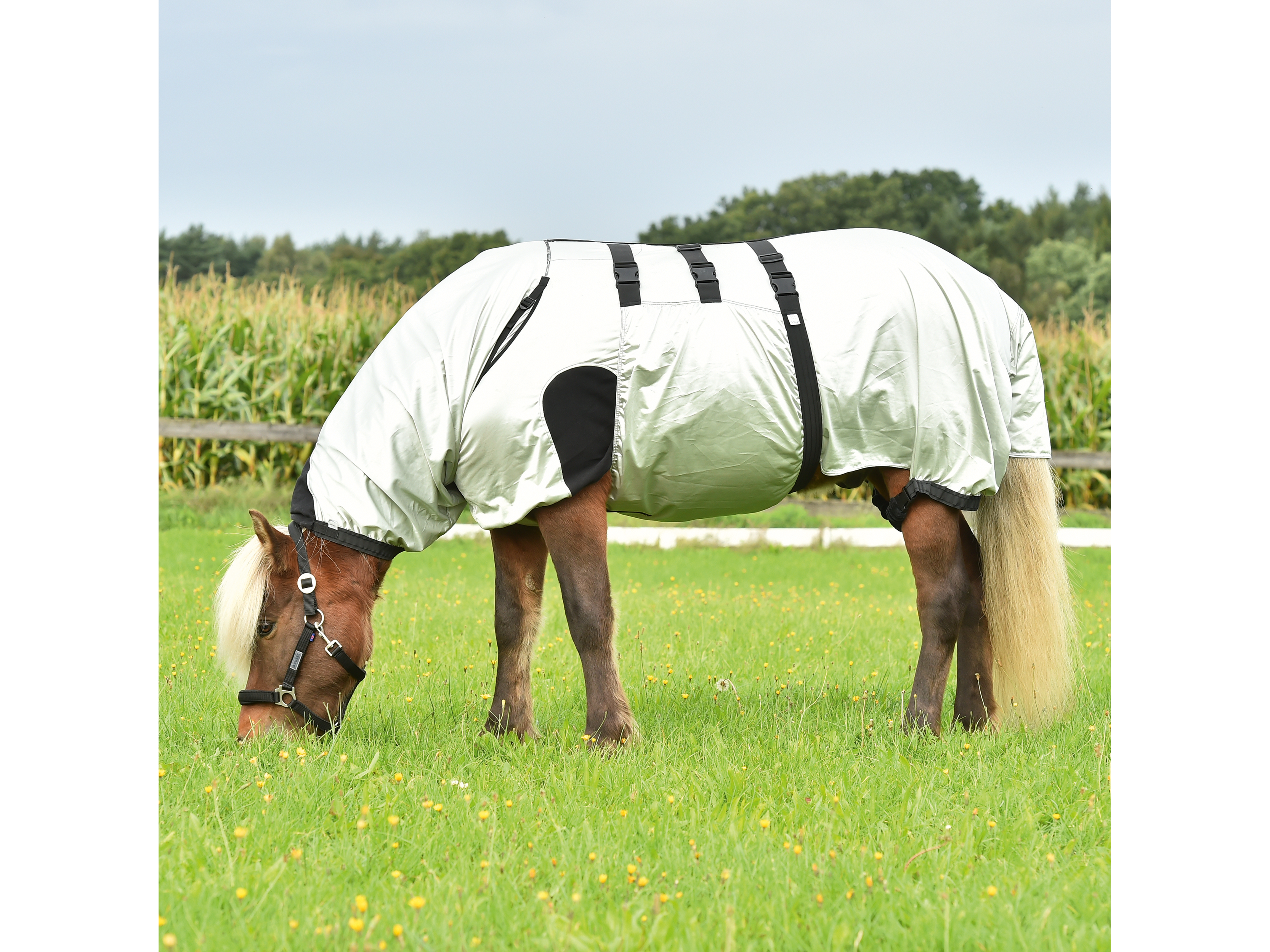 BUSSE eczema blanket Strong