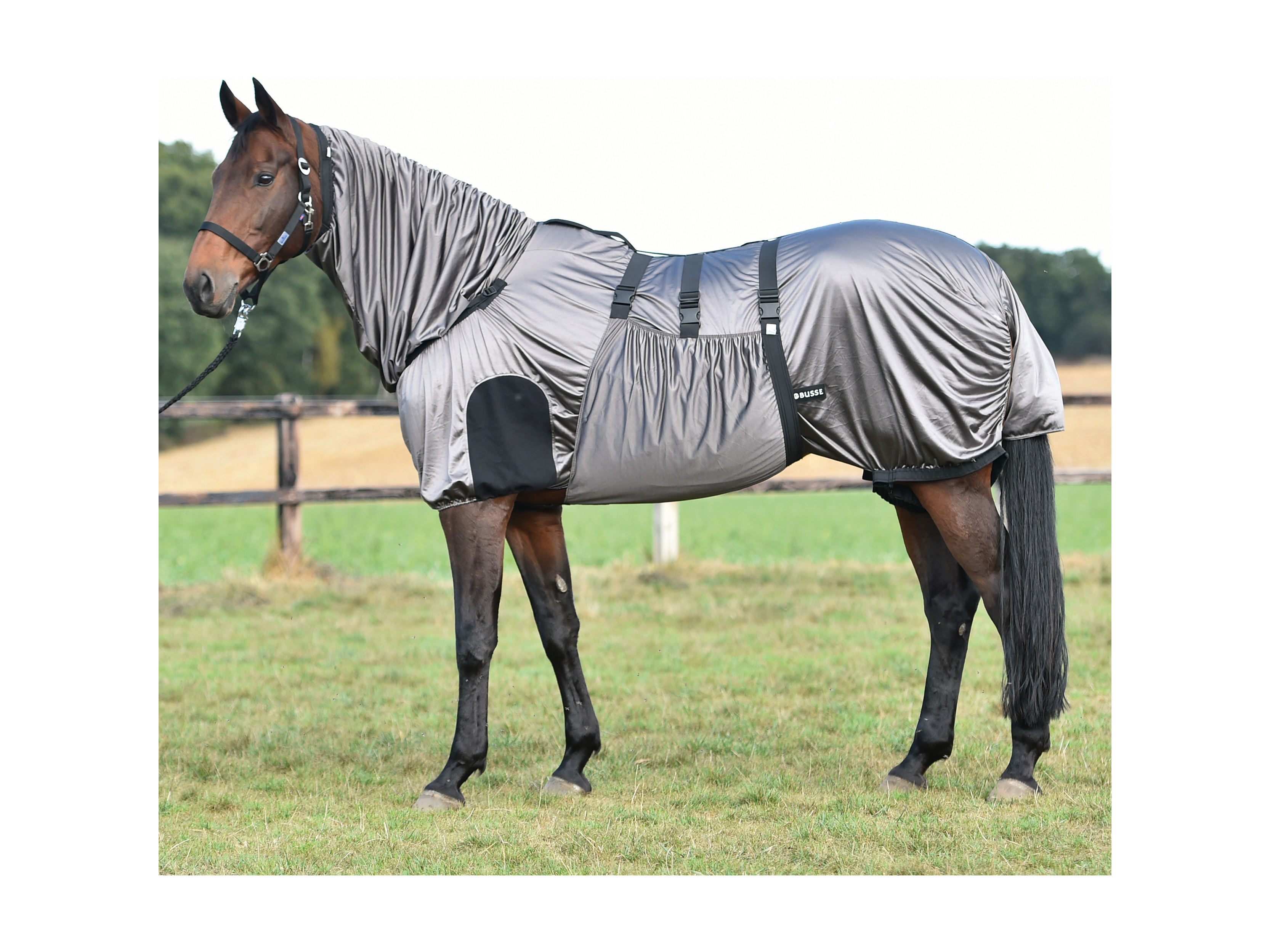 BUSSE Ekzemdecke Strong