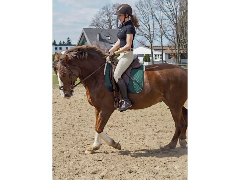 Engel - Lammfell Schabracke