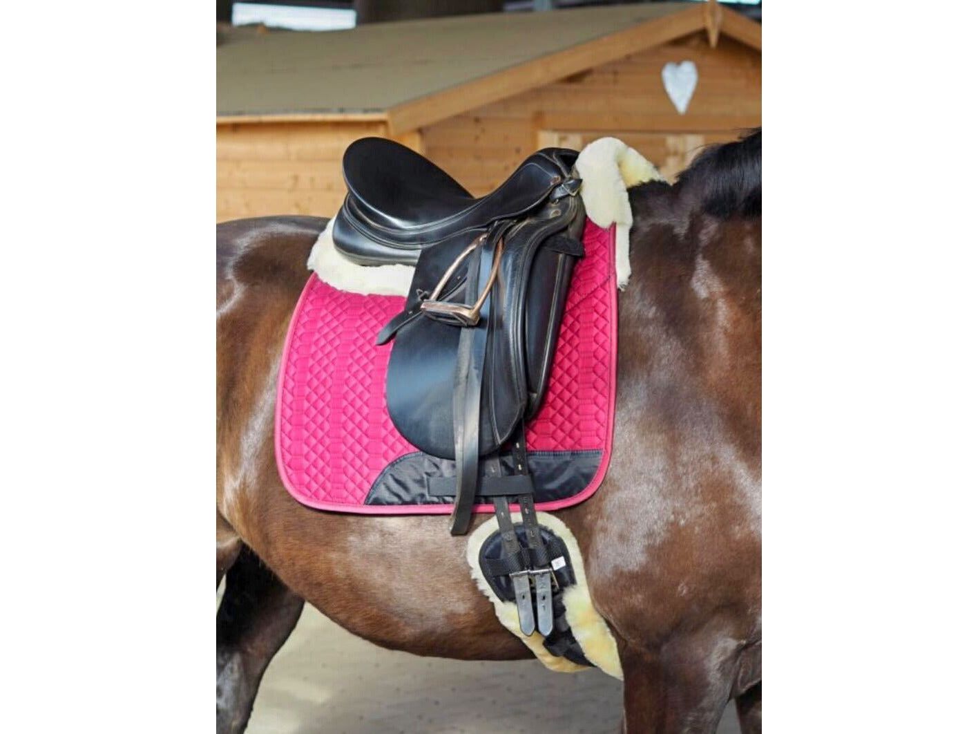 Engel - Lammfell Schabracke mit Fellrand vorne & hinten und Fell in Sattellage