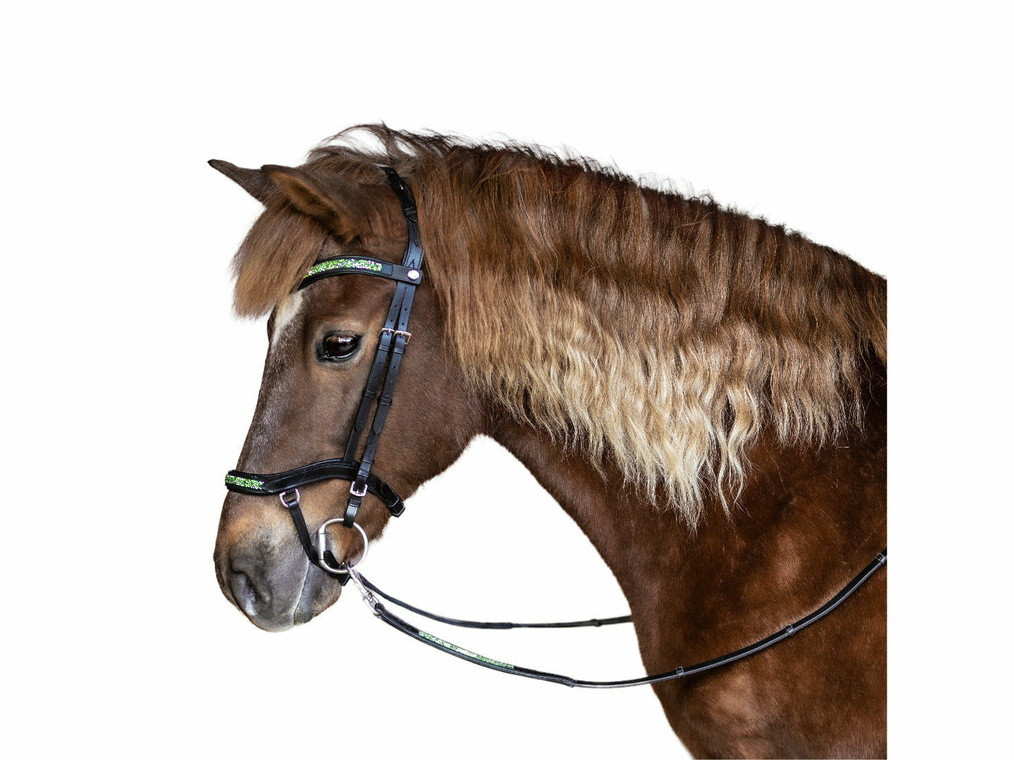 Die qualitativ hochwertige anatomische Trense in moosgrün von Epona bietet Deinem Islandpferd einen optimalen Tragekomfort und lässt es dabei elegant erstrahlen