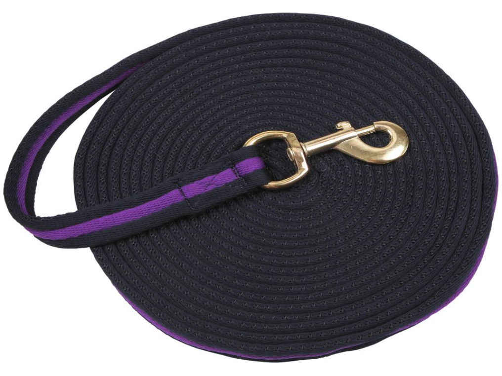 Softlonge aus weichem Mischgewebe • weiches Mischgewebe für angenehmen Griff • mit großer Handschlaufe und Drehkarabiner  Länge: 8 Meter Farbe: blau / violett