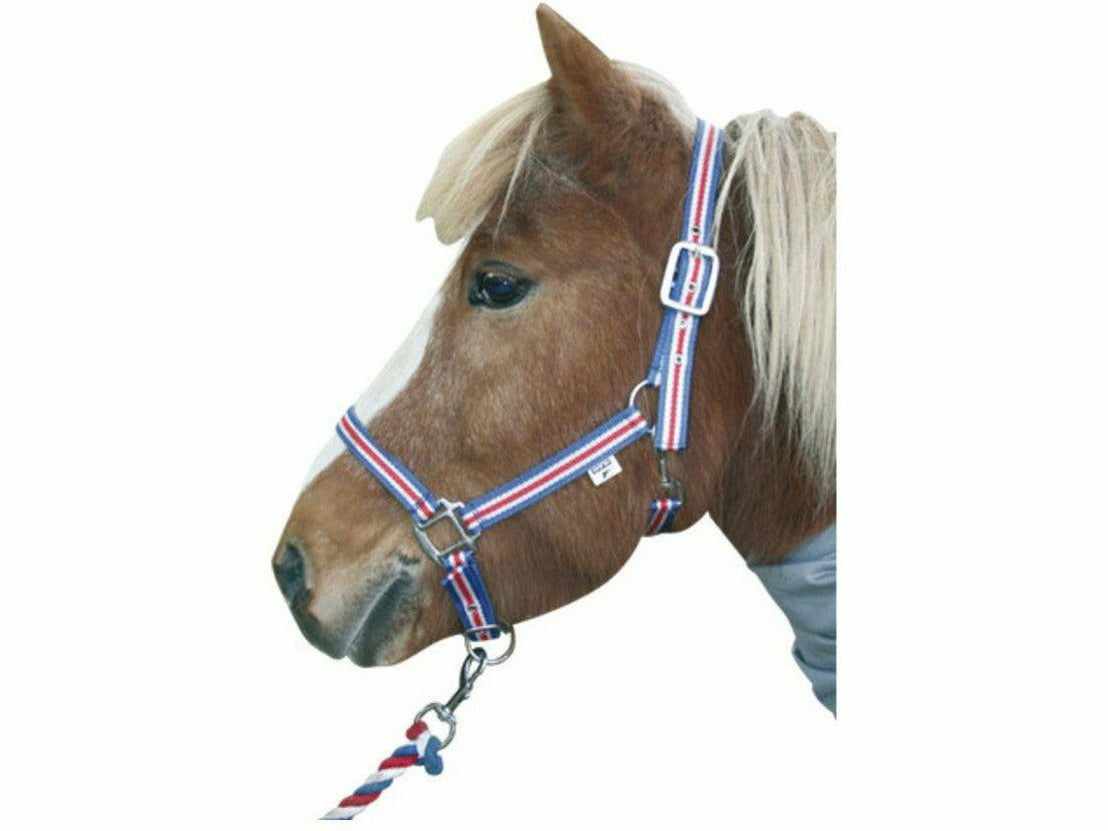 Verstellbares Nylonhalfter in Islandfarben mit passendem Baumwollstrick Das Halfter ist individuell an einem Genick- und Nasenriemen einstellbar. Zusammen mit dem zugehörigen Führstrick, der ebenfalls in Islandfarben gestaltet ist und mit einem stabilen Karabiner sicher am Halfter befestigt werden kann, ergibt sich der besondere Island-Look.