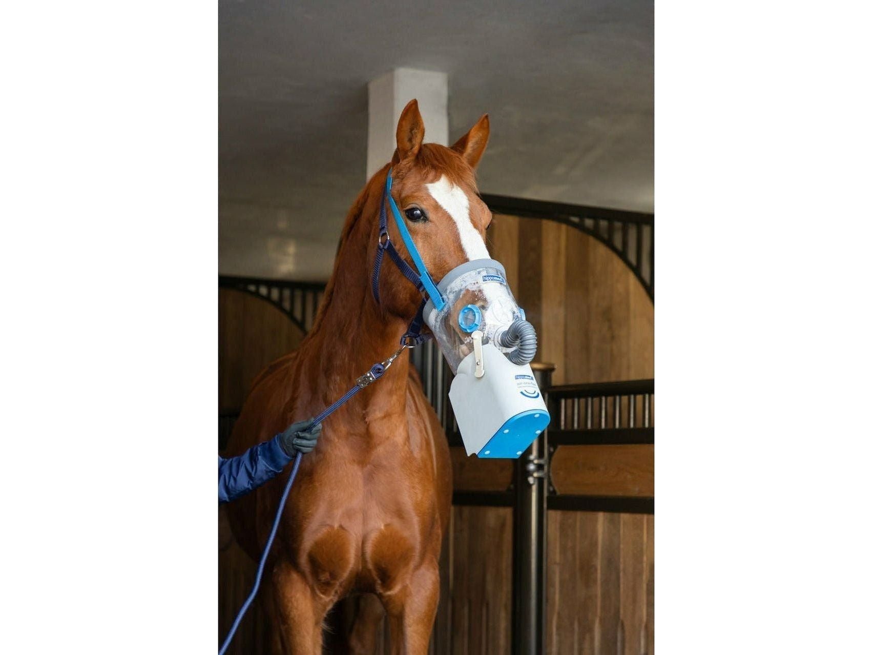 Hippomed Air One Flex cordless ultrasound inhaler for horses