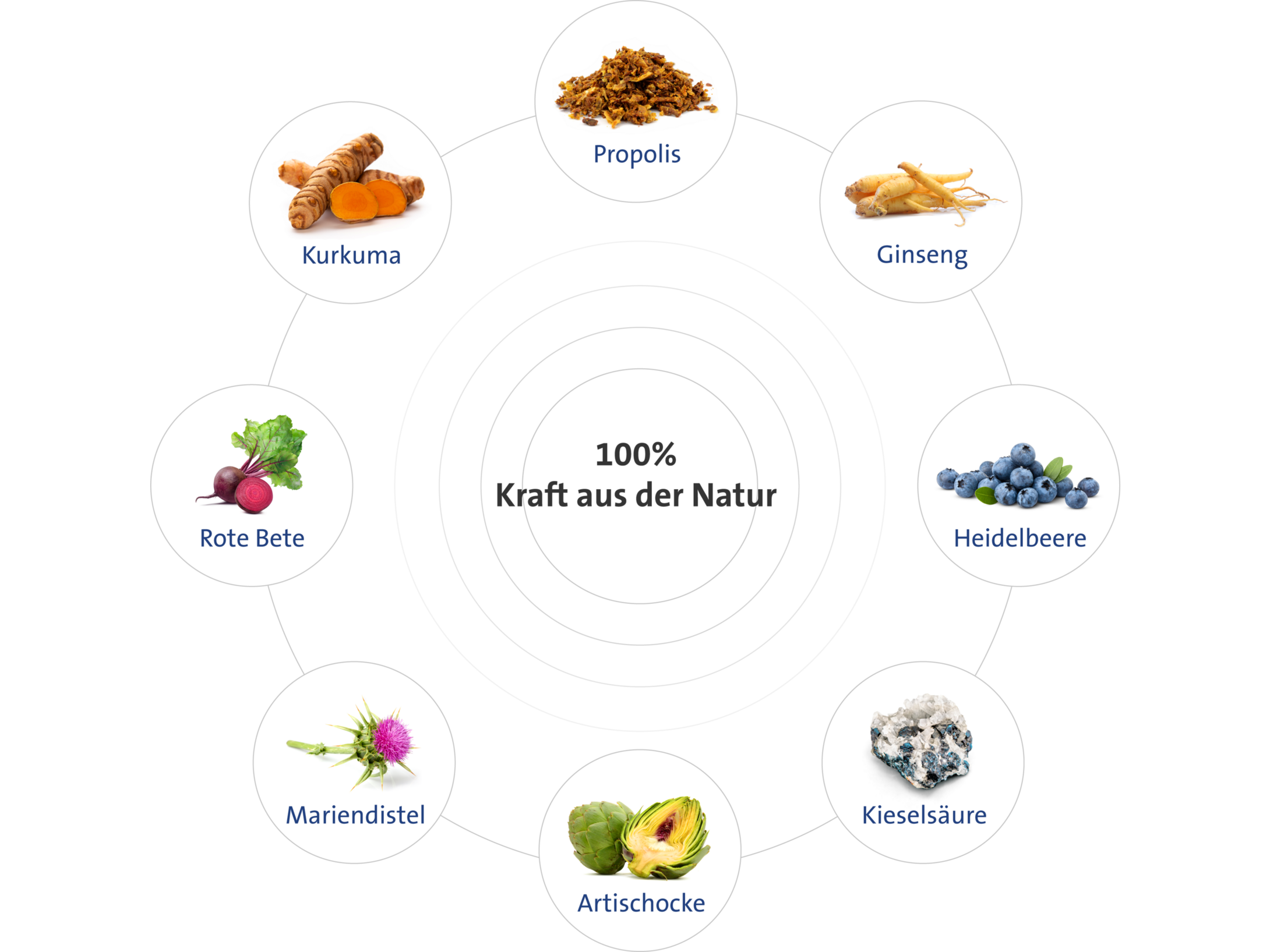 Gladiator Plus Horse 1 liter