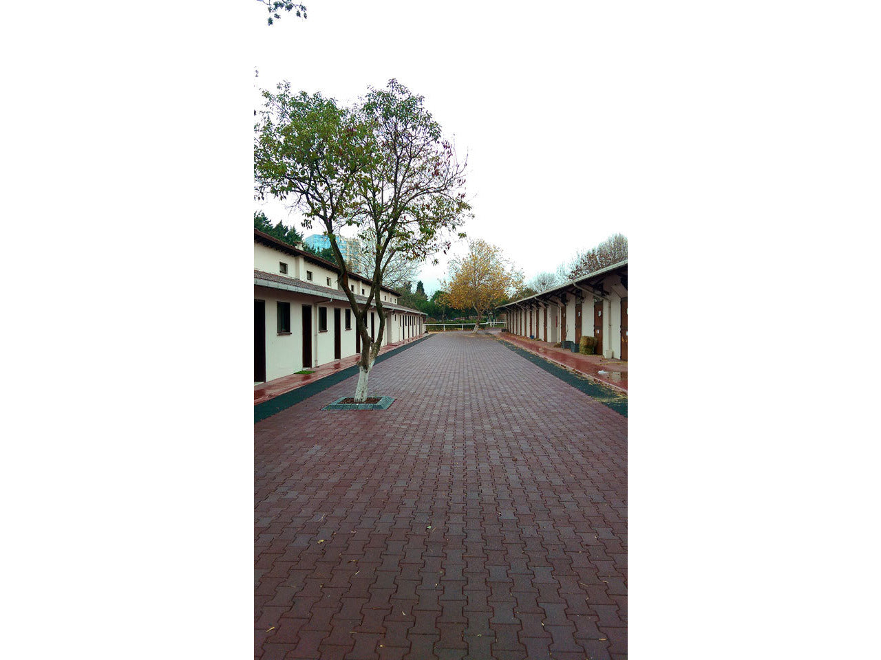 Kraiburg Enduit élastique Komfortex® 200 x 165 x 43 mm