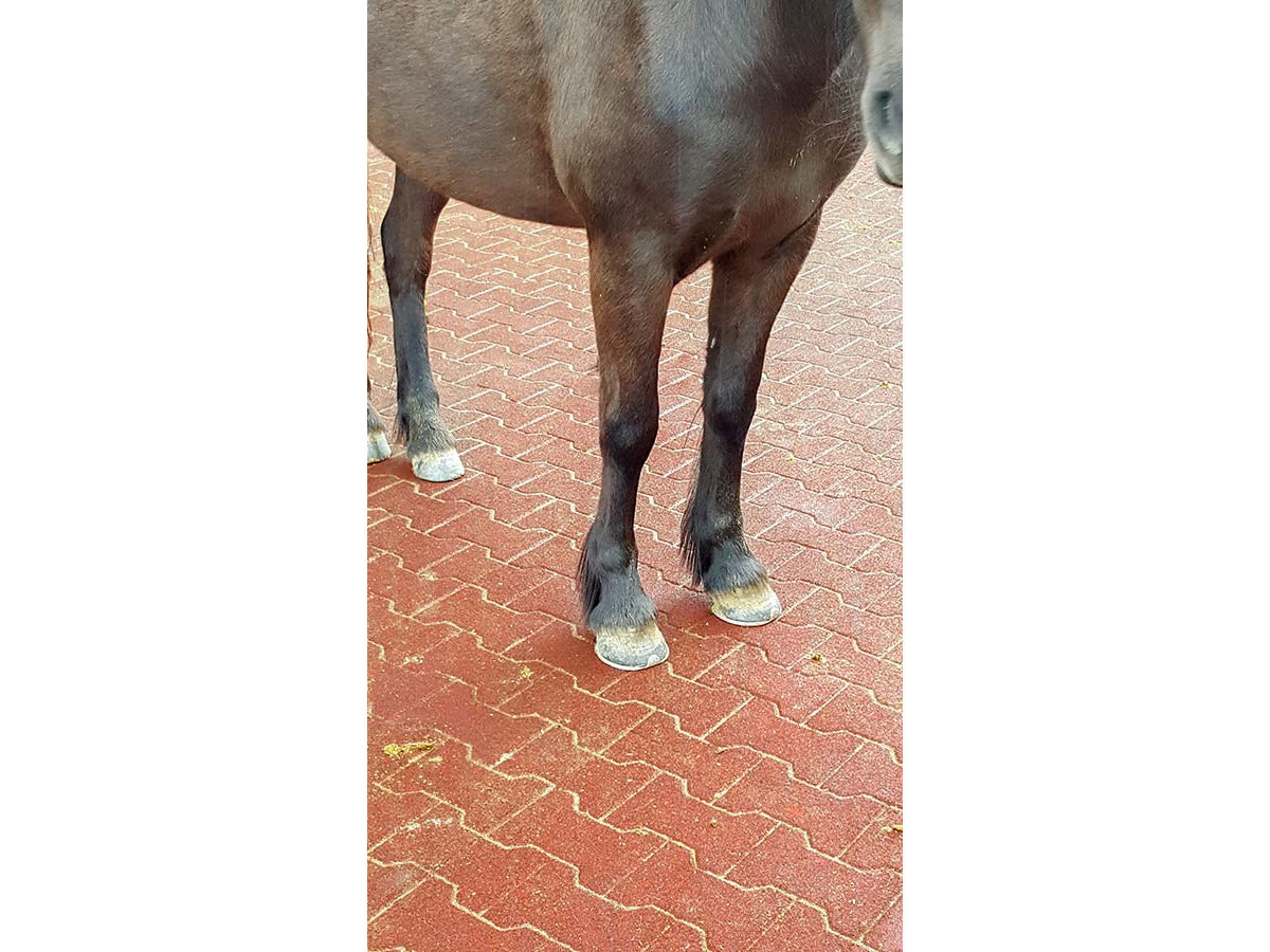 Kraiburg Enduit élastique Komfortex® 200 x 165 x 43 mm