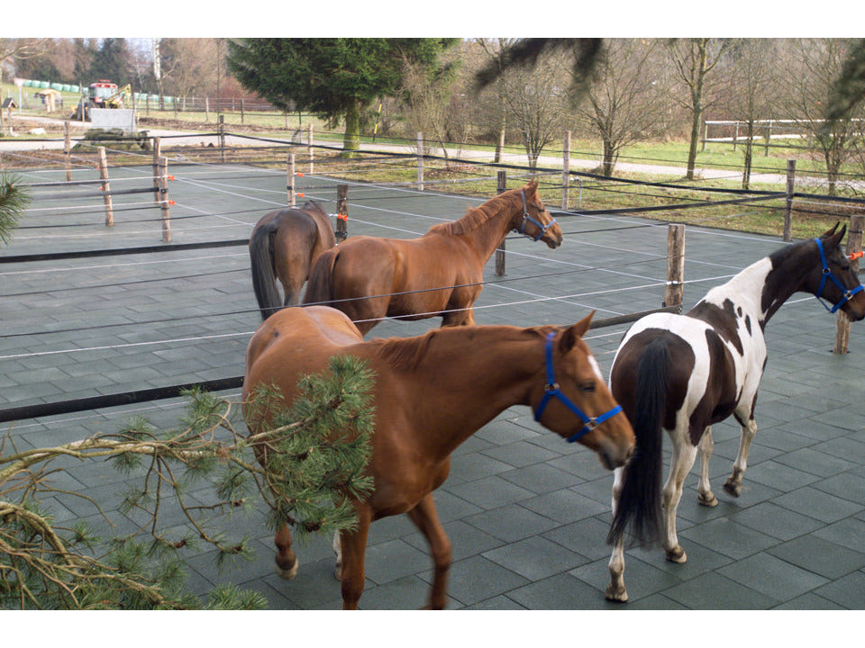 Kraiburg Komfortex® Elastikplatte 500 x 500 x 40 mm