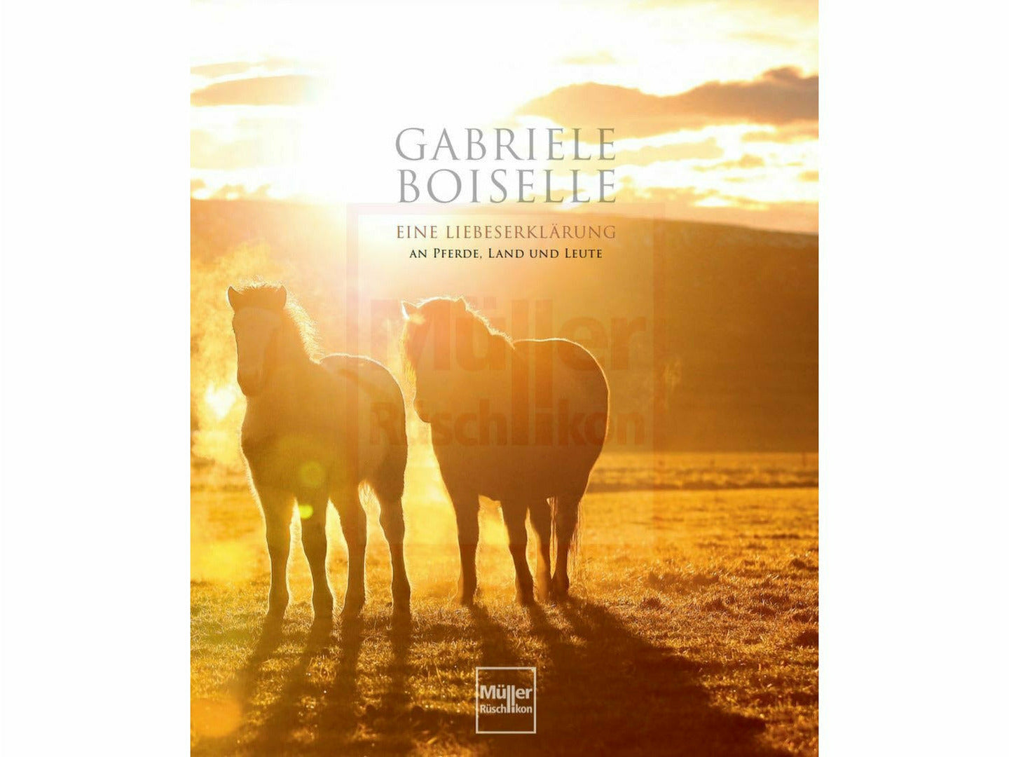 Magical Icelandic Horses - A declaration of love for horses, country and people