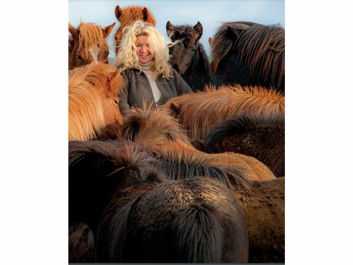 Magical Icelandic Horses - A declaration of love for horses, country and people