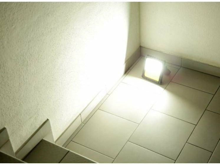 Icelandic Horse Mobile LED battery spotlight WorkFire Pro