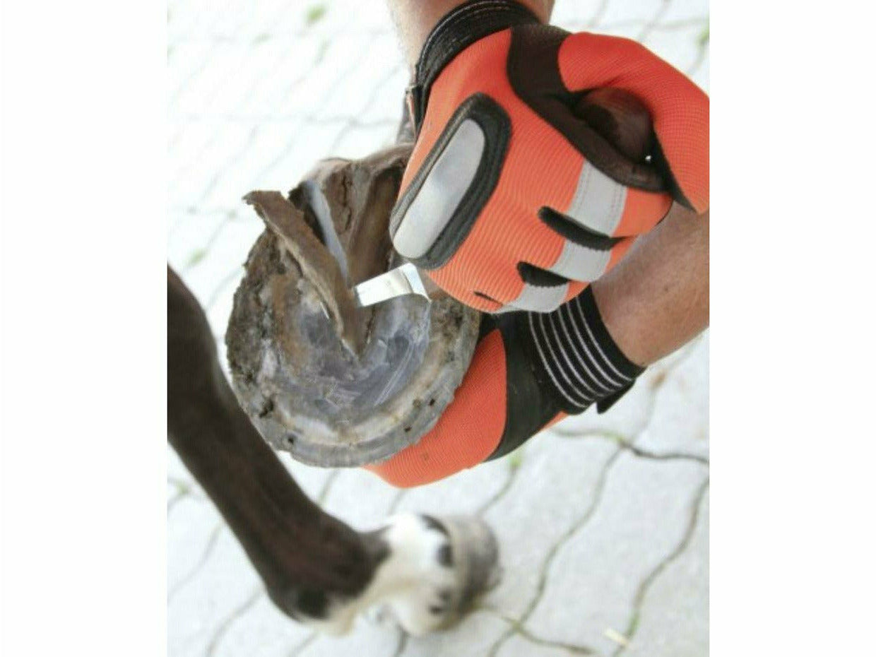 Couteau à sabot et griffe de cheval islandais