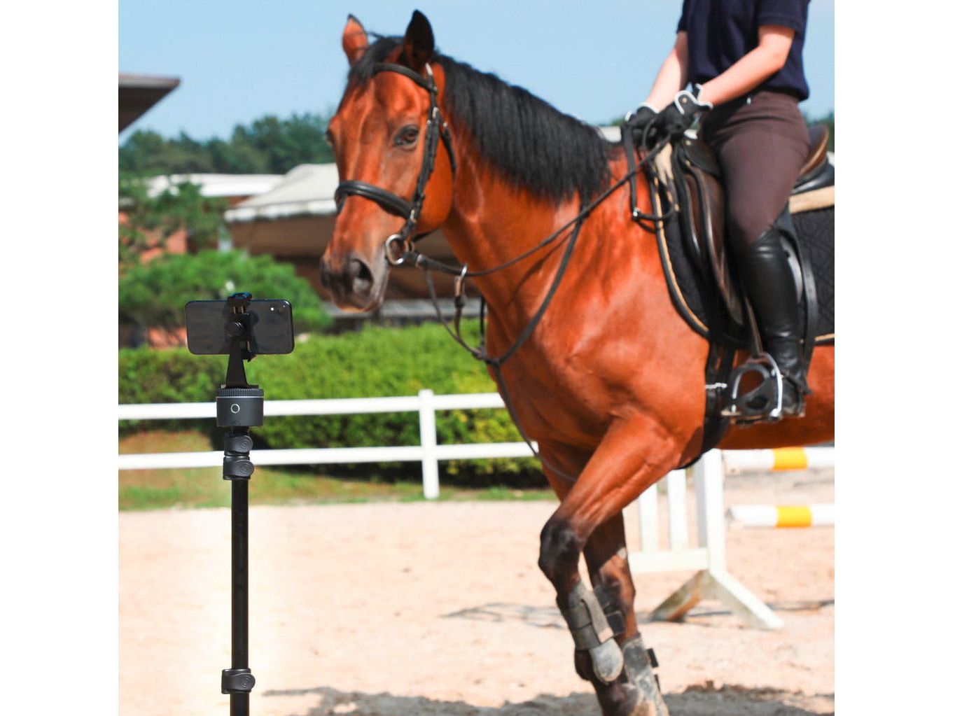 Pivo Standard Pack Smartphone Halterung – automatische 360° Aufnahme beim Reiten