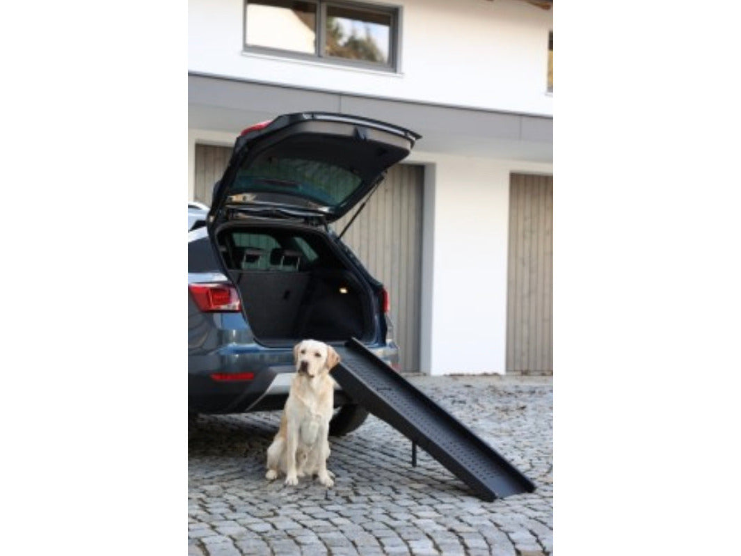 Icelandic Horse Reitbegleithund Hunderampe