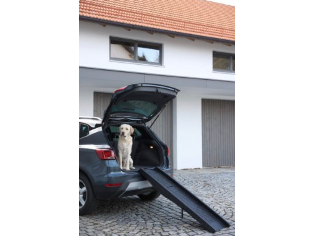 Icelandic Horse Reitbegleithund Hunderampe