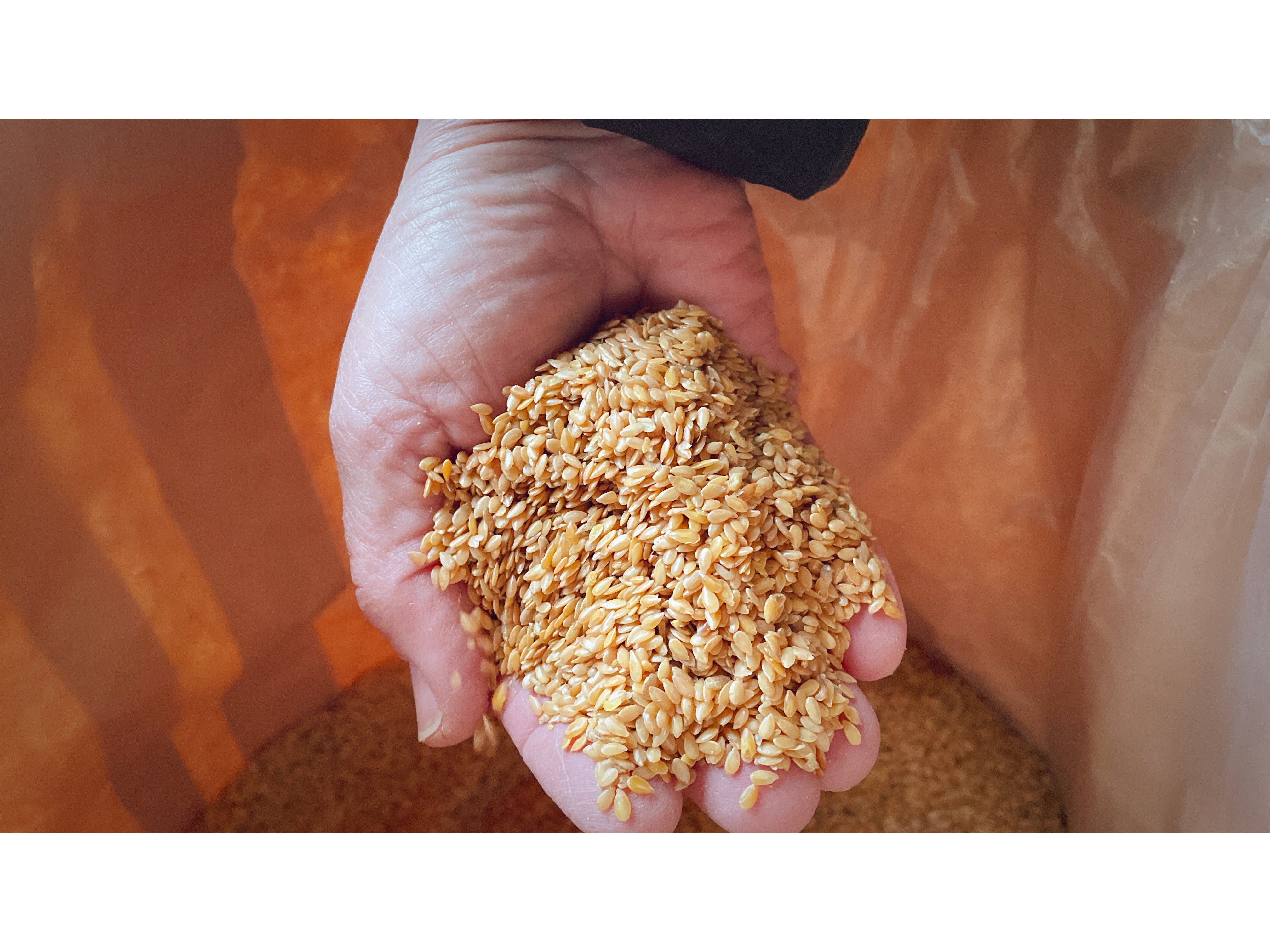 Schäfer Leingold 25 kg