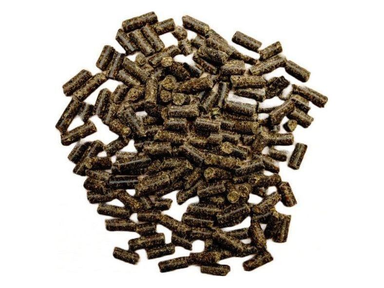 St. Hippolytus MicroVital