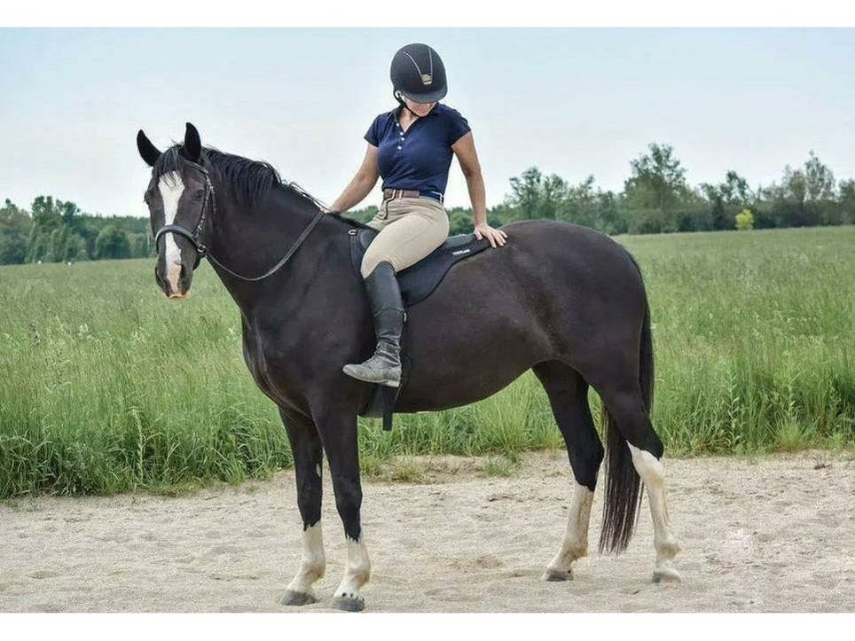 ThinLine Reitkissen Comfort