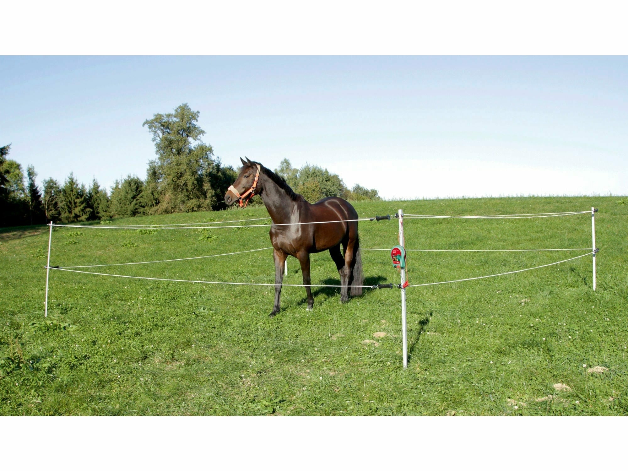 Icelandic Horse tournament/paddock set 7 x 7 m, with electric fence device