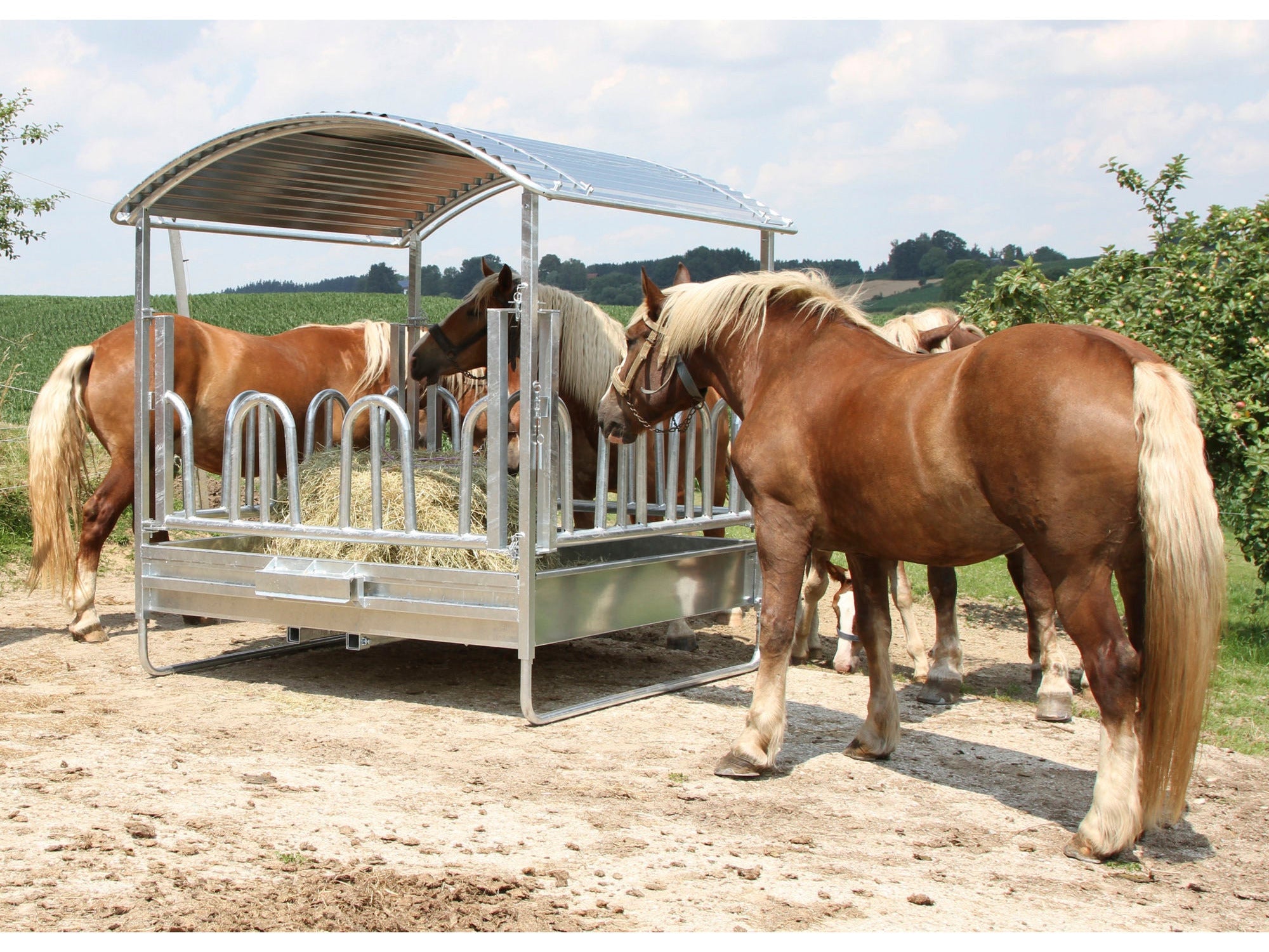 KERBL Viereckraufe mit Palisadenfressgitter