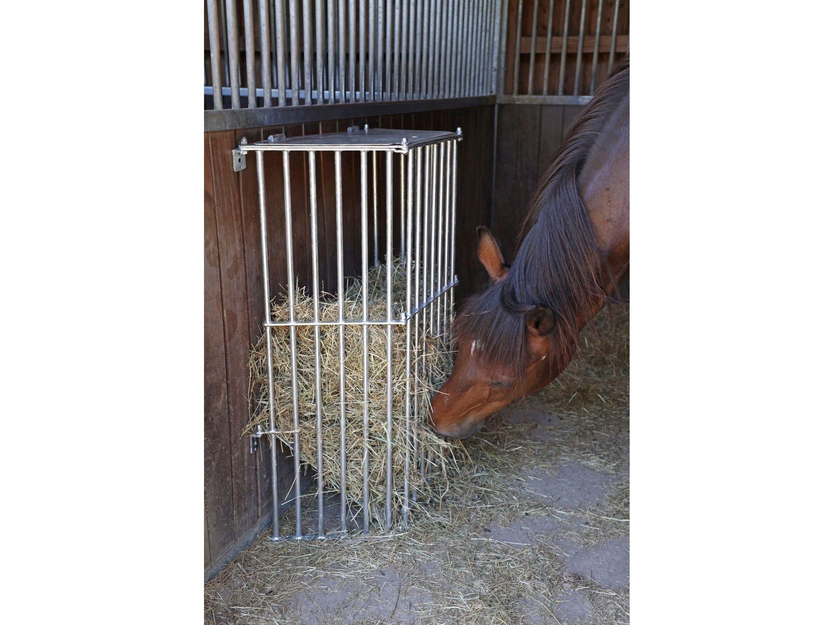Icelandic Horse wall rack SlowFeed Plus